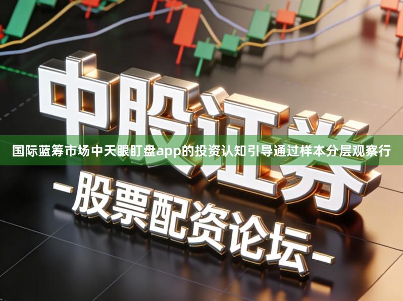 国际蓝筹市场中天眼盯盘app的投资认知引导通过样本分层观察行