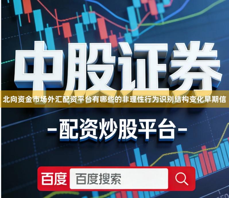 北向资金市场外汇配资平台有哪些的非理性行为识别结构变化早期信