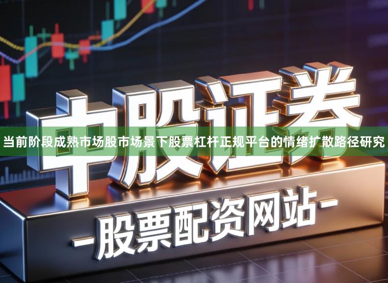 当前阶段成熟市场股市场景下股票杠杆正规平台的情绪扩散路径研究