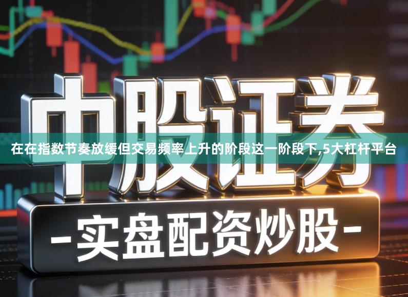 在在指数节奏放缓但交易频率上升的阶段这一阶段下,5大杠杆平台