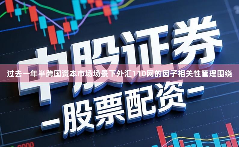 过去一年半跨国资本市场场景下外汇110网的因子相关性管理围绕
