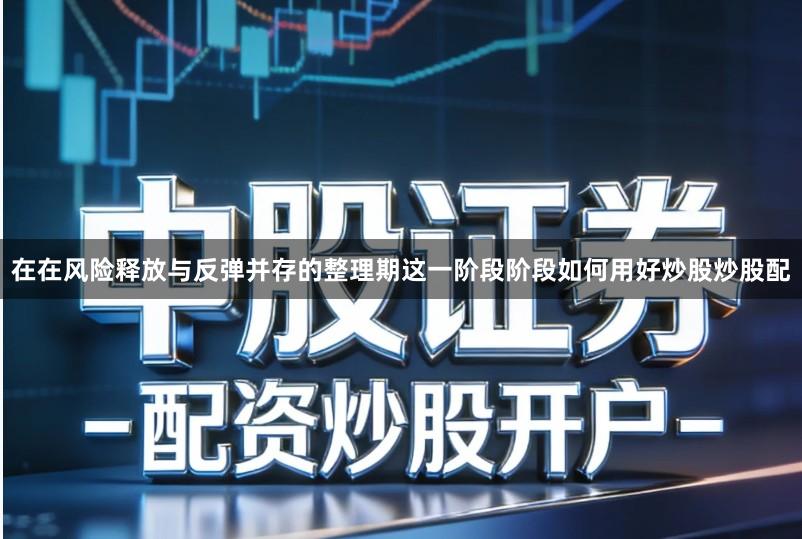 在在风险释放与反弹并存的整理期这一阶段阶段如何用好炒股炒股配