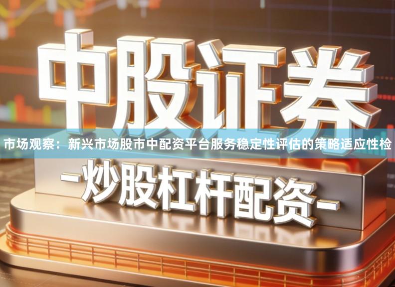 市场观察：新兴市场股市中配资平台服务稳定性评估的策略适应性检